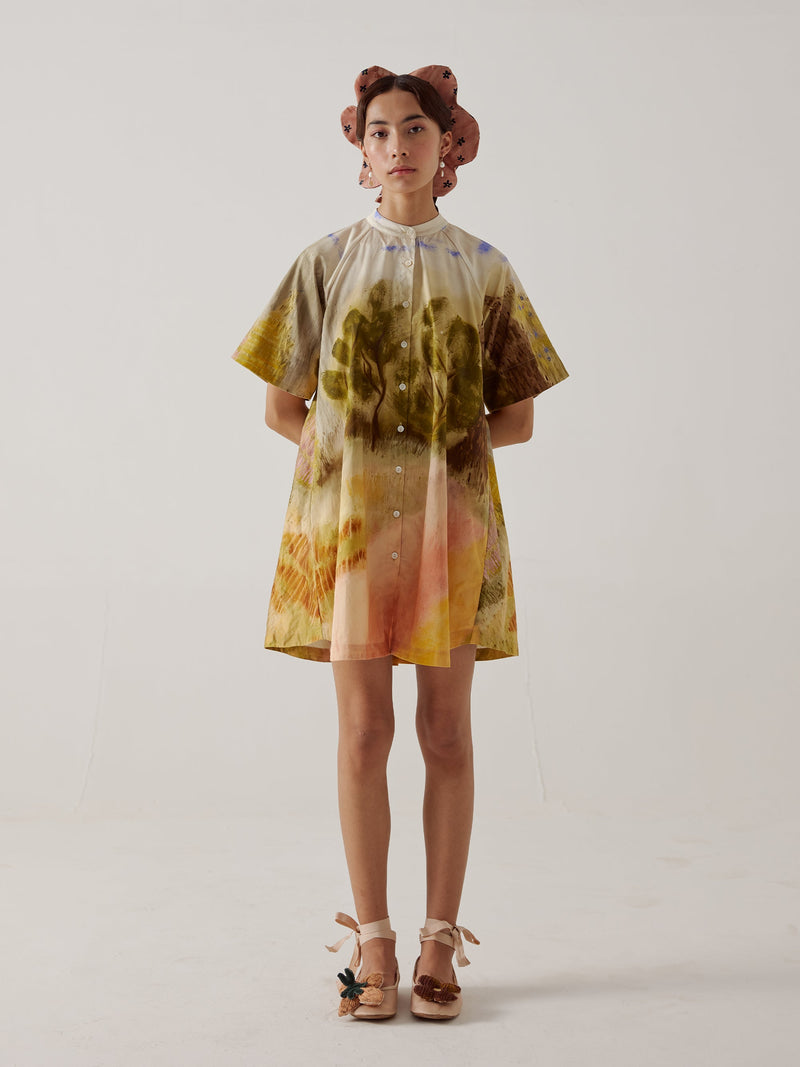 A-Line Dress | Bold Cotton Satin Dress - Dale Print L A-Line Dress | Bold Cotton Satin Dress - Dale Print L