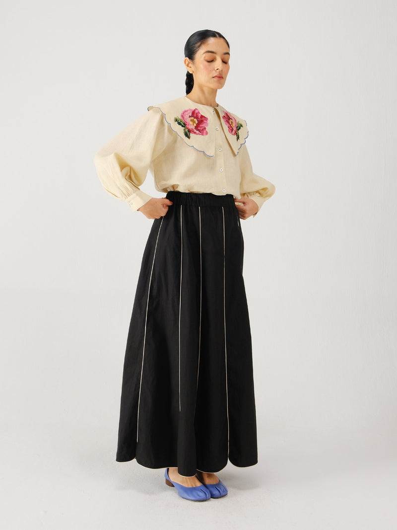 Julia set