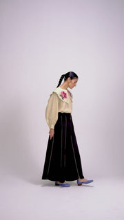 Julia set